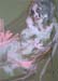 f-contour-rose-fd-vert